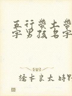五行带土带木的字男孩名字