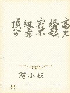 顶级宠婚高冷老公惹不起免费阅读