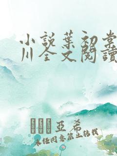 小说叶初棠沈延川全文阅读