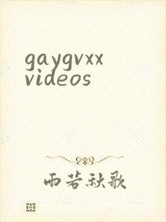 gaygvxxvideos