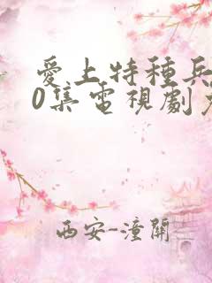 爱上特种兵第40集电视剧免费观看