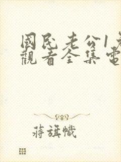 国民老公1免费观看全集电视剧