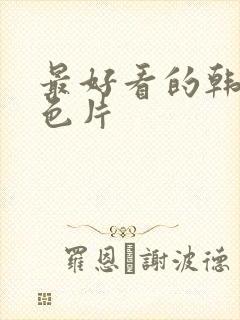 最好看的韩国情色片