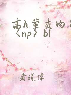高h荤爽肉欲文〈np〉bl