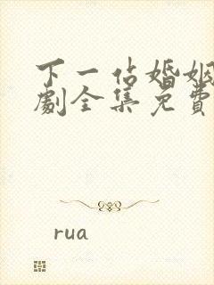 下一站婚姻电视剧全集免费播放