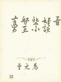 有哪些好看的双男主小说