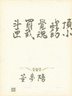 斗罗觉醒顶级剑匣武魂的小说