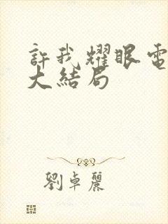 许我耀眼电视剧大结局