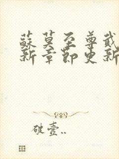 苏莫至尊武魂最新章节更新