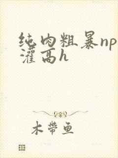 纯肉粗暴np精灌高h