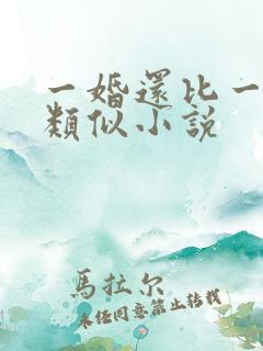 一婚还比一婚高类似小说
