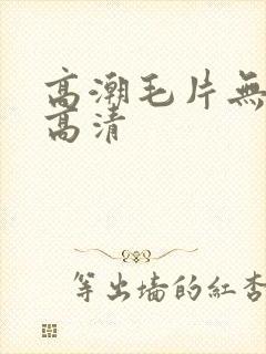 高潮毛片无遮挡高清