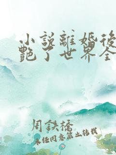 小说离婚后她惊艳了世界全文