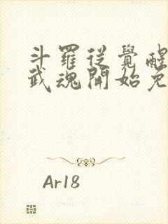 斗罗从觉醒朱雀武魂开始免费阅读