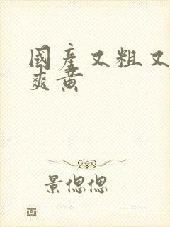 国产又粗又猛又爽黄