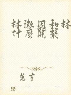 林徽因和林殊是什么关系