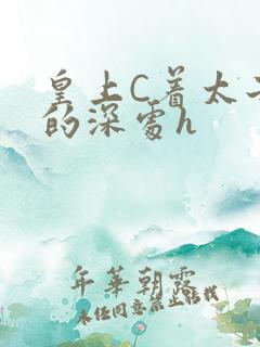 皇上C着太子妃的深处h