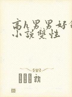 高h男男好舒服小说双性