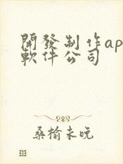 开发制作app软件公司