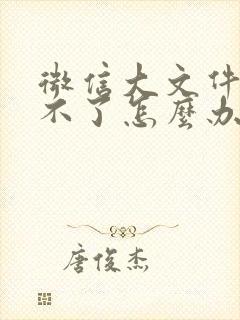 微信大文件传输不了怎么办