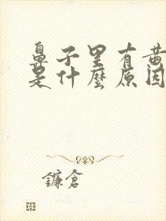 鼻子里有黄鼻涕是什么原因