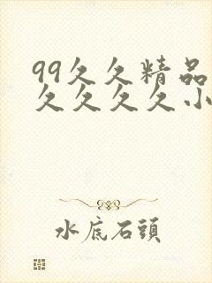 99久久精品久久久久久小说