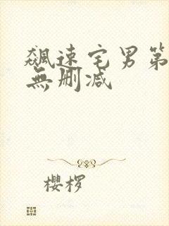 飙速宅男第二季无删减