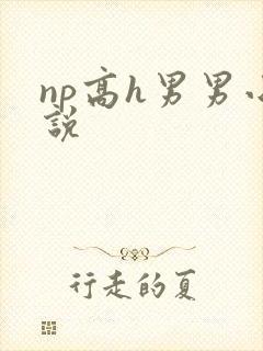 np高h男男小说