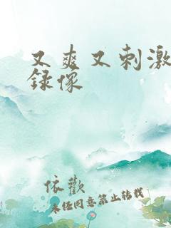 又爽又刺激黄色录像