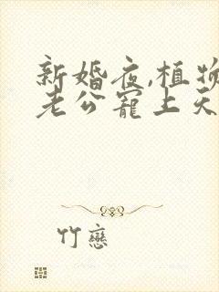 新婚夜,植物人老公宠上天