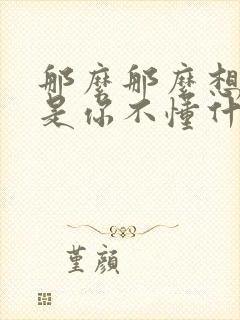 那么那么想你可是你不懂什么歌名