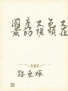 国产又色又爽又黄的视频在线