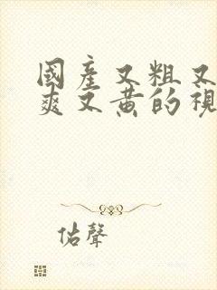 国产又粗又猛又爽又黄的视频,久久精品视频