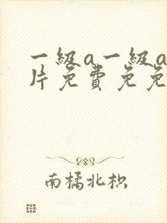 一级a一级a爰片免费免免韩国