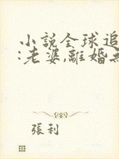 小说全球追妻令:老婆,离婚无效