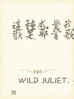 这种感觉我很喜欢是哪首歌的歌词