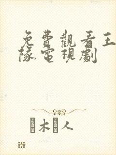 免费观看王牌部队电视剧