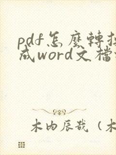 pdf怎么转换成word文档格式