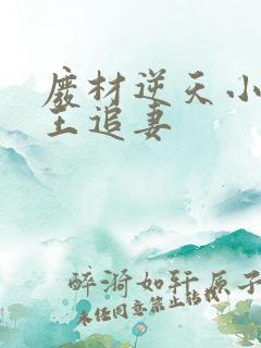 废材逆天小姐邪王追妻