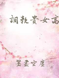 调教贵女高h