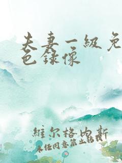 夫妻一级免费黄色录像