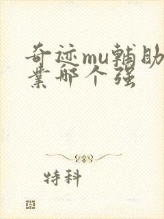 奇迹mu辅助职业哪个强