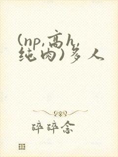 (np,高h,纯肉)多人