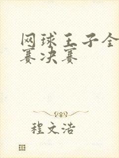 网球王子全国大赛决赛