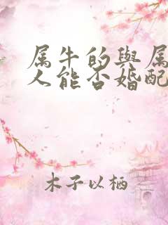 属牛的与属马的人能否婚配