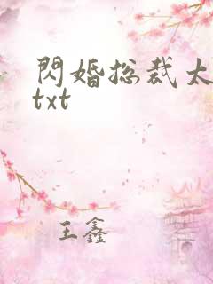 闪婚总裁太霸道txt