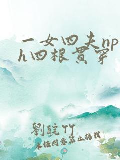 一女四夫np高h四根贯穿
