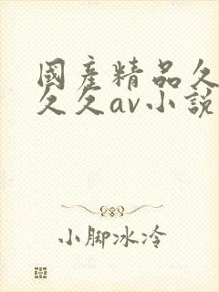 国产精品久久久久久av小说