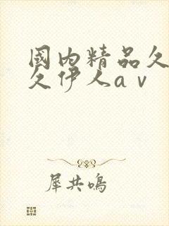 国内精品久久久久伊人aⅴ