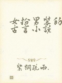 女扮男装的重生古言小说